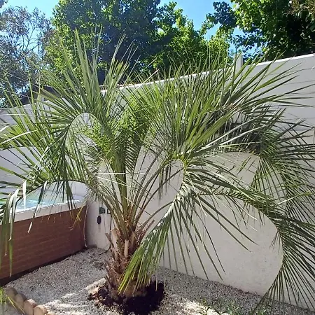 Avec Jardin Et