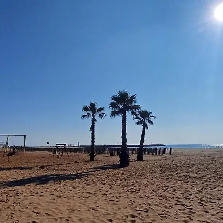 Avec Jardin Et アパート *