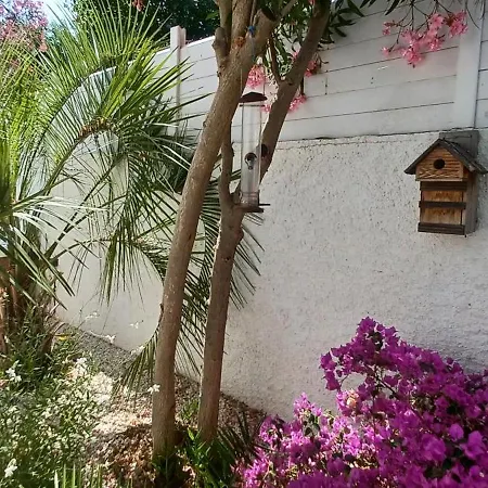 Avec Jardin Et