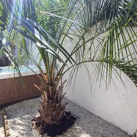 Avec Jardin Et Appartement *