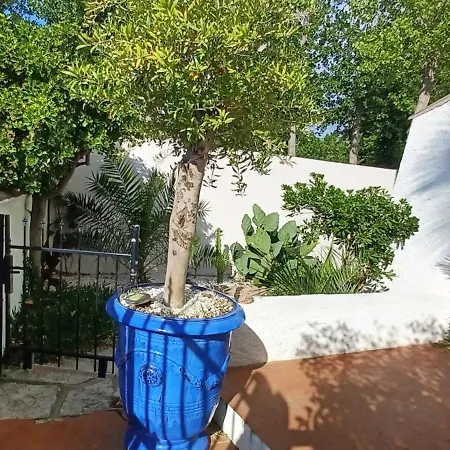 Avec Jardin Et