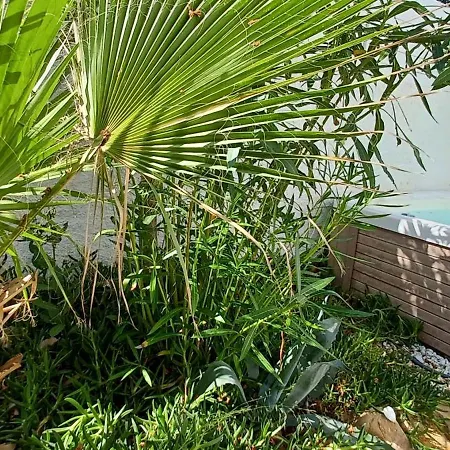 아파트 Jardin Et 발라 플라주